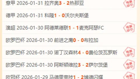 雷丁成英冠降级第三队，哈镇救火教练沃诺克表现卓越！